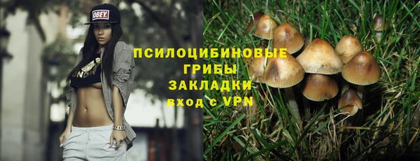 каннабис Аркадак