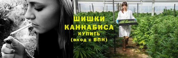 трава Арсеньев