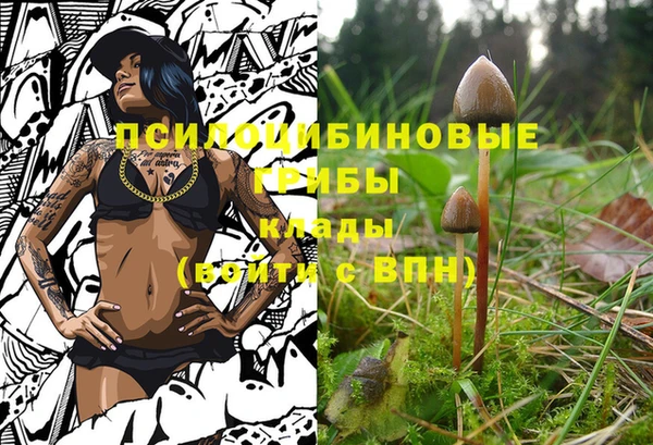 трава Арсеньев