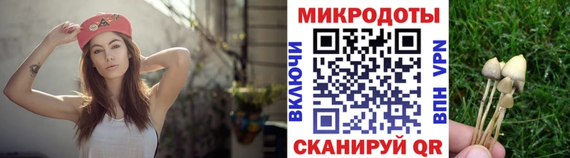 Псилоцибиновые грибы MAGIC MUSHROOMS  Сычёвка 